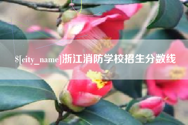 苍南浙江消防学校招生分数线