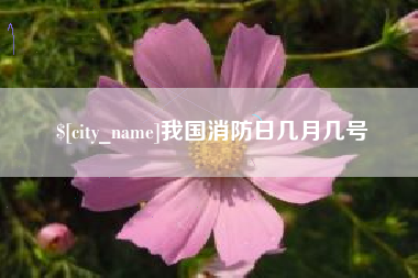苍南我国消防日几月几号