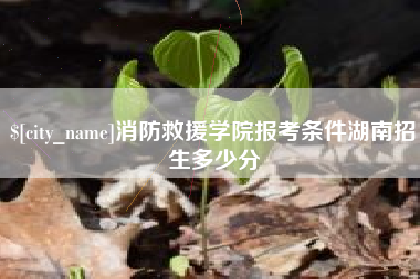 苍南消防救援学院报考条件湖南招生多少分