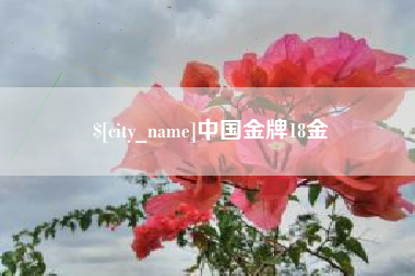苍南中国金牌18金