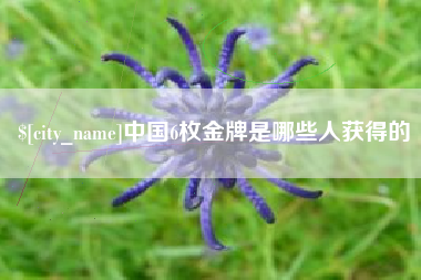 苍南中国6枚金牌是哪些人获得的