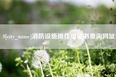 苍南消防设施操作员证书查询网址