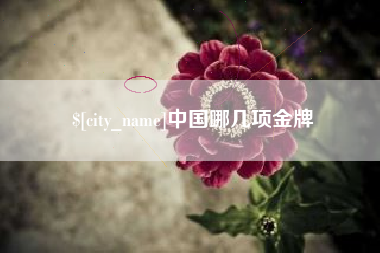 苍南中国哪几项金牌