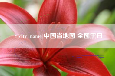 苍南中国省地图 全图黑白