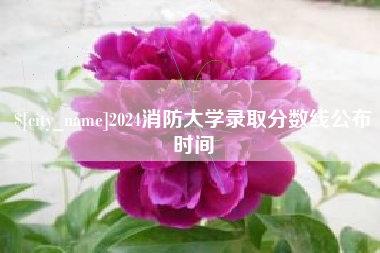 苍南2024消防大学录取分数线公布时间