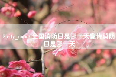苍南全国消防日是哪一天宣传消防日是哪一天