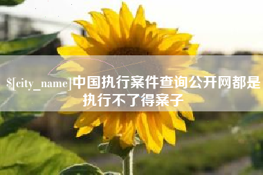 苍南中国执行案件查询公开网都是执行不了得案子