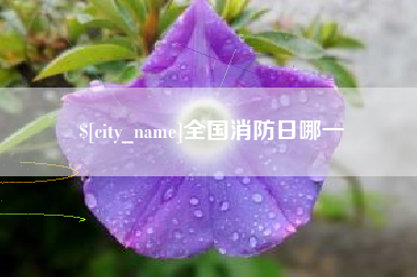 苍南全国消防日哪一