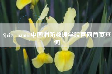 苍南中国消防救援学院官网首页查询