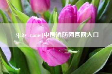 苍南中国消防网官网入口
