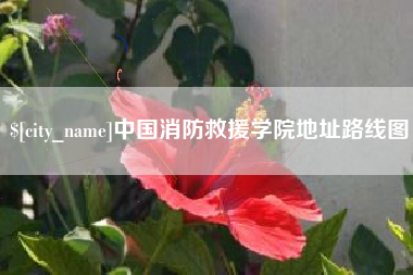苍南中国消防救援学院地址路线图
