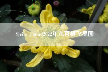 苍南2022年九宫格飞星图