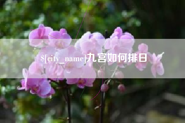 苍南九宫如何排日