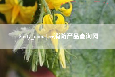 苍南ccc消防产品查询网