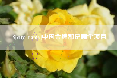 苍南中国金牌都是哪个项目