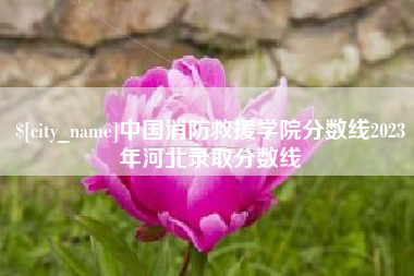 苍南中国消防救援学院分数线2023年河北录取分数线