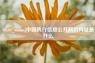 苍南中国执行信息公开网的网址是什么