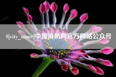 苍南中国消防网官方网站公众号