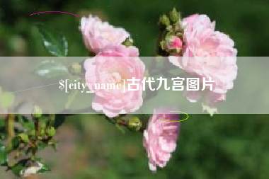 苍南古代九宫图片
