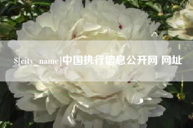 苍南中国执行信息公开网 网址