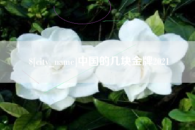 苍南中国的几块金牌2021