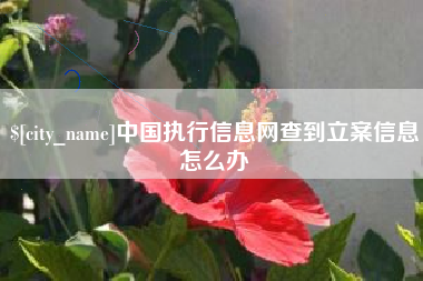 苍南中国执行信息网查到立案信息怎么办