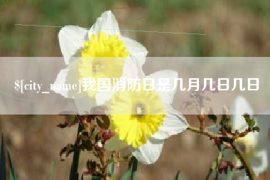 苍南我国消防日是几月几日几日