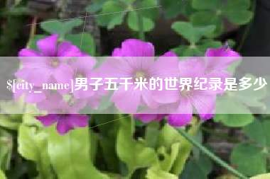 苍南男子五千米的世界纪录是多少