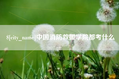 苍南中国消防救援学院都考什么
