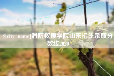 苍南消防救援学院山东招生录取分数线2020