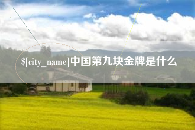 苍南中国第九块金牌是什么