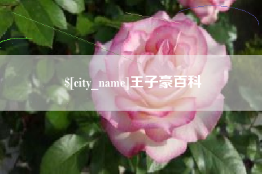 苍南王子豪百科