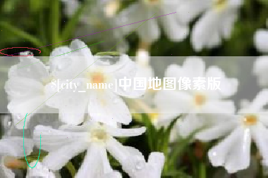 苍南中国地图像素版