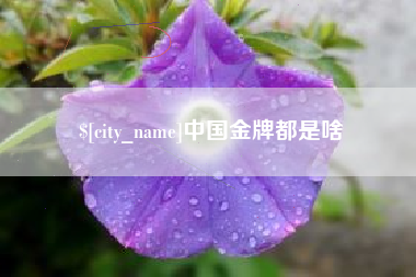 苍南中国金牌都是啥