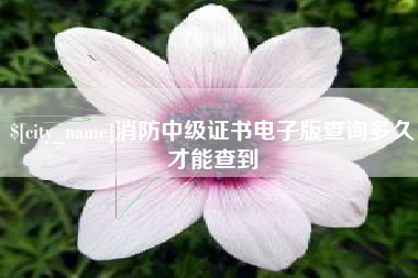 苍南消防中级证书电子版查询多久才能查到