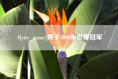 苍南男子5000米世界冠军