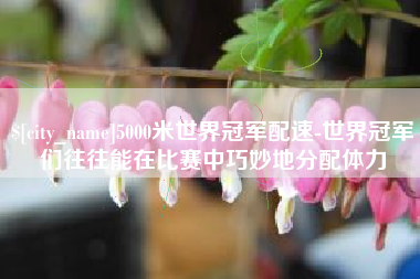 苍南5000米世界冠军配速-世界冠军们往往能在比赛中巧妙地分配体力