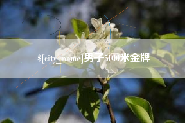 苍南男子5000米金牌