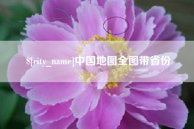 苍南中国地图全图带省份