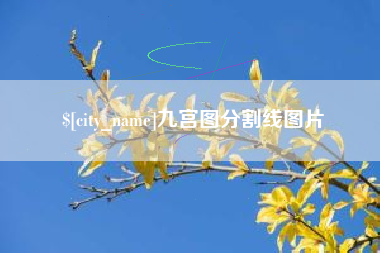 苍南九宫图分割线图片