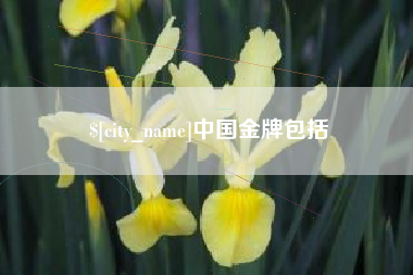 苍南中国金牌包括