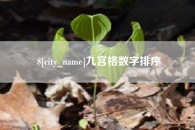 苍南九宫格数字排序