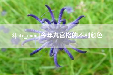 苍南今年九宫格的不利颜色