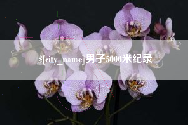 苍南男子5000米纪录