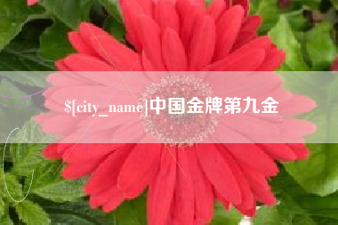 苍南中国金牌第九金