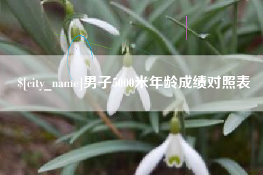 苍南男子5000米年龄成绩对照表