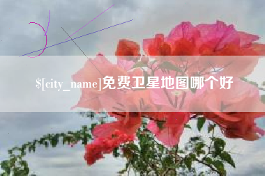 苍南免费卫星地图哪个好