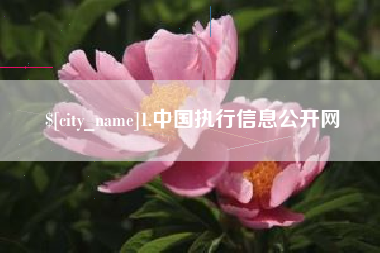 苍南1.中国执行信息公开网