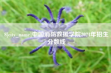 苍南中国消防救援学院2024年招生分数线