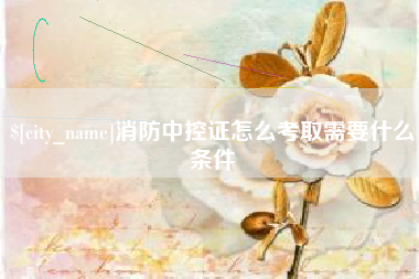 苍南消防中控证怎么考取需要什么条件